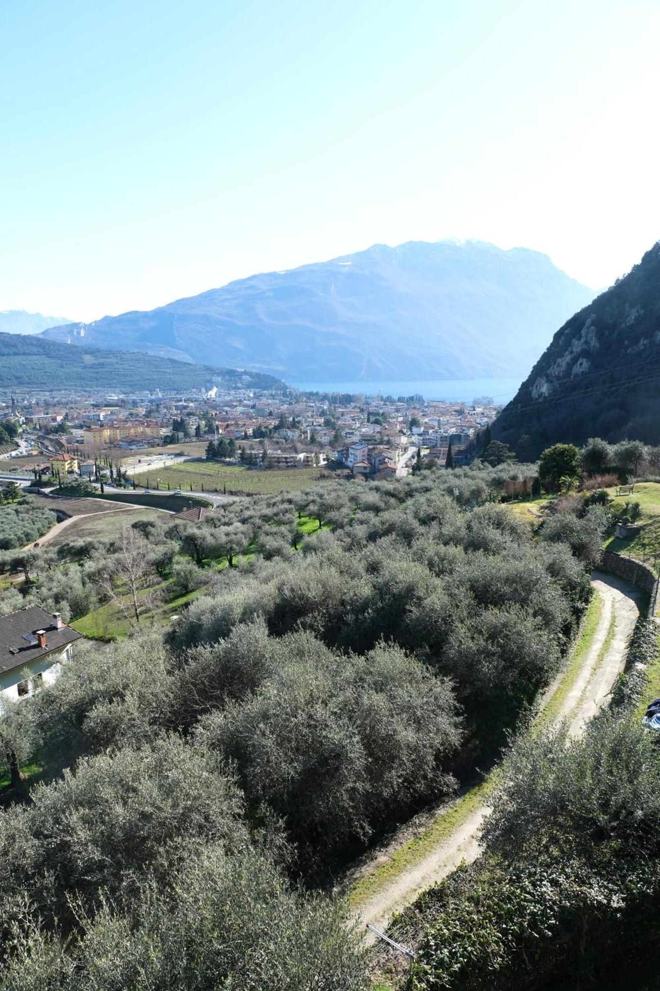 Casa Segantini - Panorama Pool Apartment Gavazzo Nuova Extérieur photo